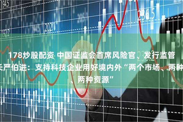 178炒股配资 中国证监会首席风险官、发行监管司司长严伯进：支持科技企业用好境内外“两个市场、两种资源”